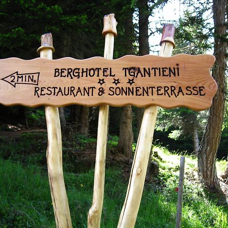 Berghotel Tgantieni Lenzerheide Luaran gambar